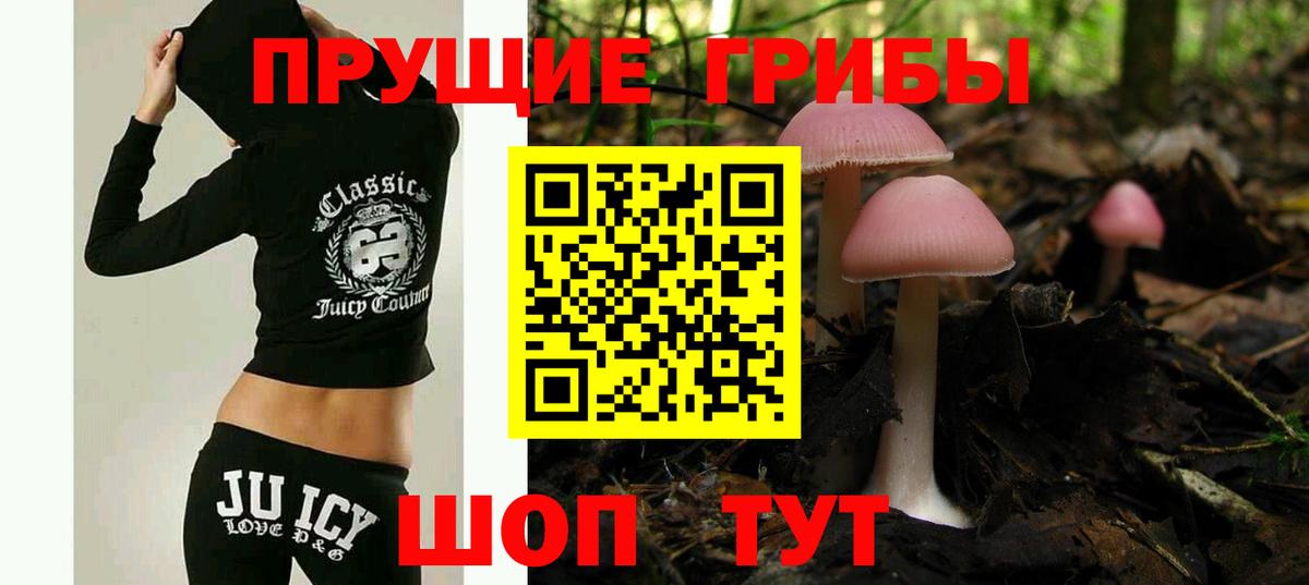 Новодвинск  Галлюциногенные грибы Cubensis  Вход с VPN 